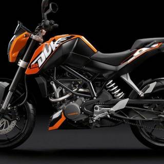 Black 200 Duke wallpaper