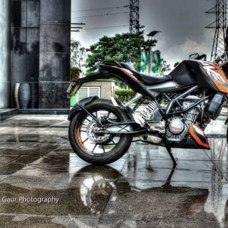 Black 200 Duke wallpaper