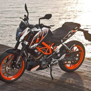 Black 200 Duke wallpaper