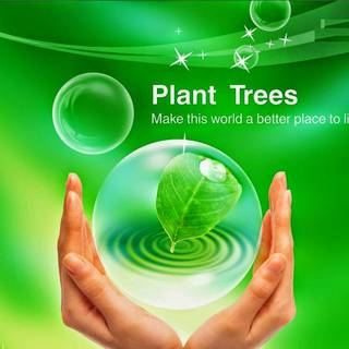 World Environment Day wallpaper