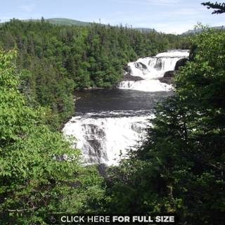 Newfoundland wallpaper