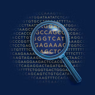 Hereditary wallpaper