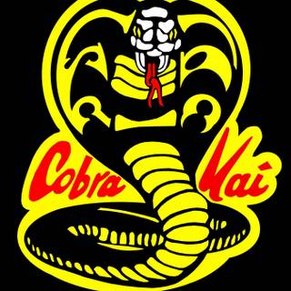 Cobra Kai wallpaper