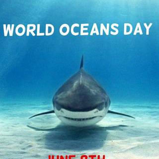 World Oceans Day wallpaper