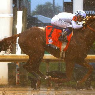 Belmont Stakes 2018 wallpaper