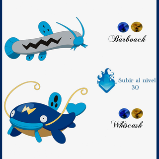 Barboach HD wallpaper