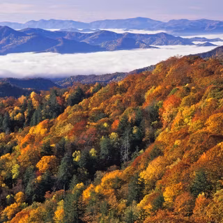 Smoky Mountains wallpaper