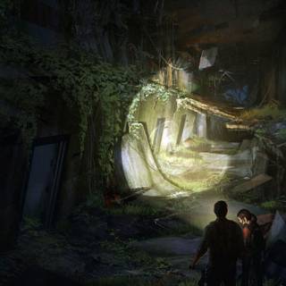 The Last of Us 2 wallpaper