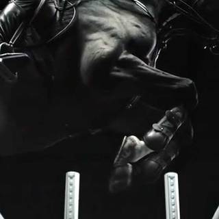 Black horse jumping wallpaper