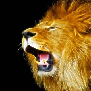 Abstract lion wallpaper