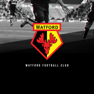 Watford F.C. wallpaper