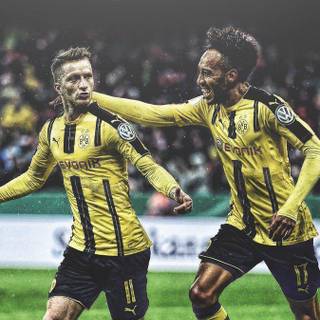 Aubameyang wallpaper