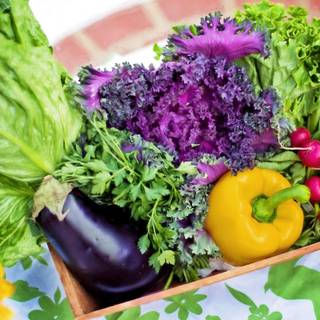 Fresh veggies wallpaper