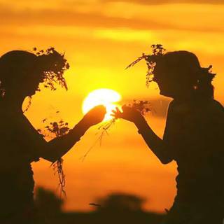 Summer solstice wallpaper