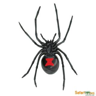 Black widow spiders wallpaper