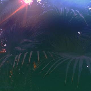 Vapor wave wallpaper