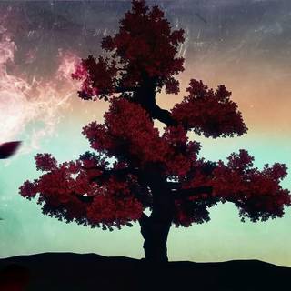 The Shannara Chronicles wallpaper