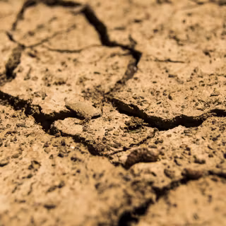 Drought wallpaper