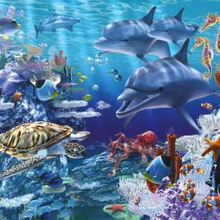 Sea life wallpaper