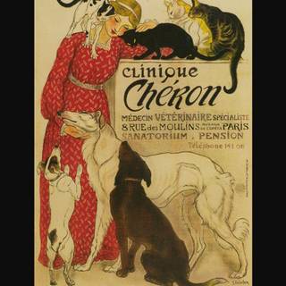 Veterinary wallpaper