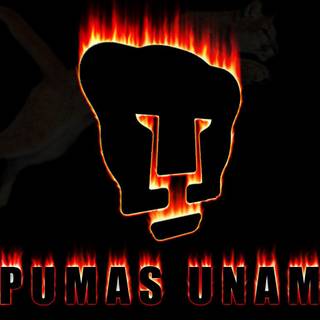 Pumas UNAM wallpaper