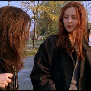 Gingersnaps wallpaper