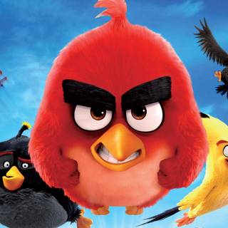 Angry Birds Movie‬ wallpaper