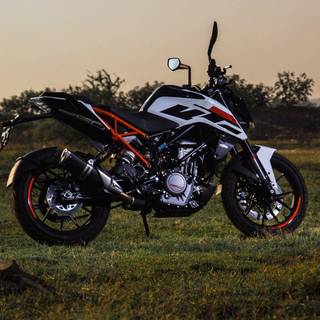 KTM Duke 250 wallpaper