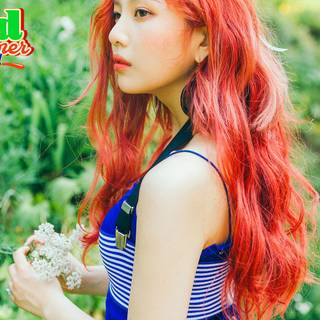 Red Velvet Joy wallpaper