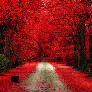 Mind blowing wallpaper