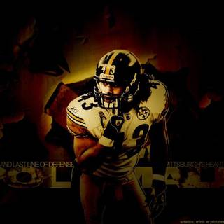 Troy Polamalu wallpaper