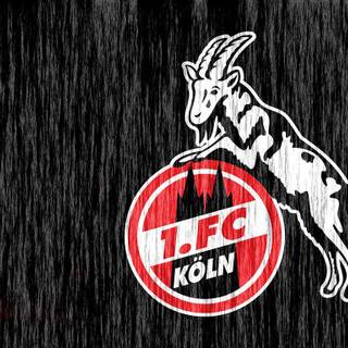 Köln wallpaper