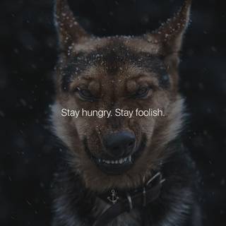 Hungry wallpaper