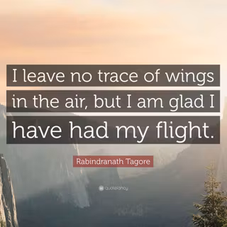 Leave No Trace wallpaper