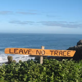Leave No Trace wallpaper