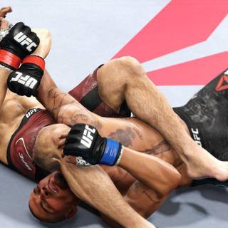 EA Sports UFC 3 wallpaper