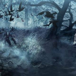 The Witcher 3: Wild Hunt wallpaper