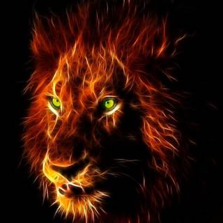 3D lion wallpaper