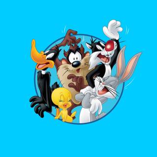 Daffy Duck HD wallpaper