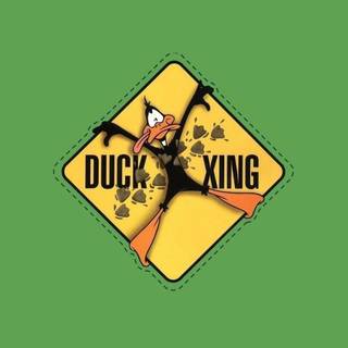 Daffy Duck HD wallpaper