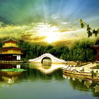 Beauties nature wallpaper