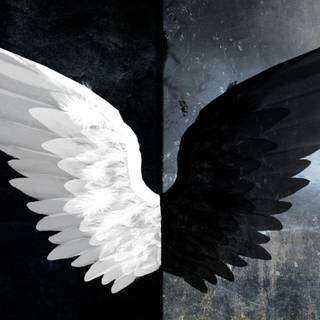 Wing Wallpaper