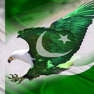 Pakistan flag wallpaper for mobile