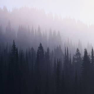 Hipster wallpaper Tumblr