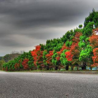 Wallpaper for ppc HD