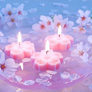 Beautiful wallpaper flowers