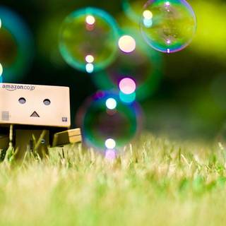 Danbo wallpaper pc