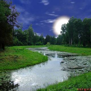 Wallpapers free downloard