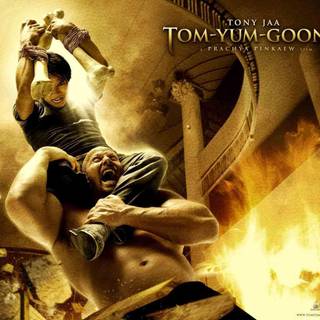 Tony jaa HD tyg 2 wallpaper