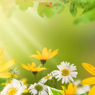 Nice background wallpaper